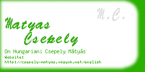 matyas csepely business card